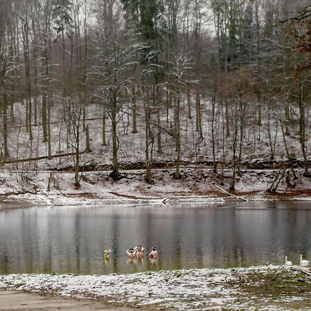 Bosko Domki Z Sauna I Balia W Sulminie Obok Gdanska Dış mekan fotoğraf